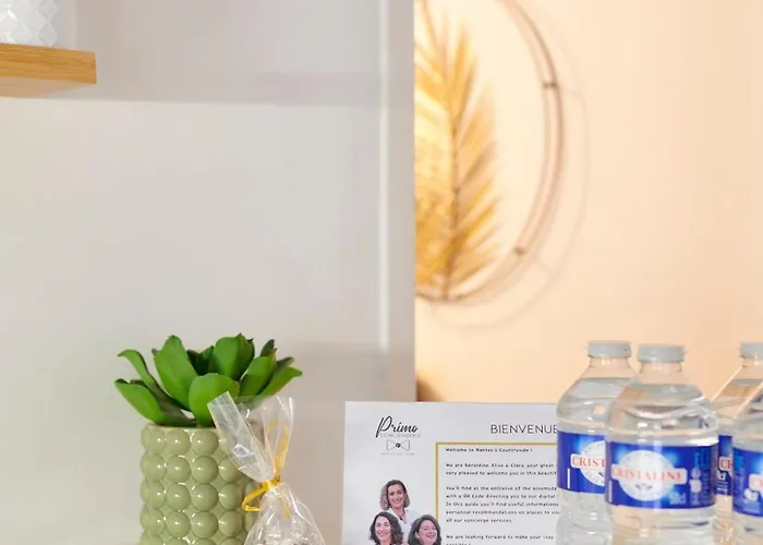 La Boheme Appt Hypercentre - Terrasse Et Parking